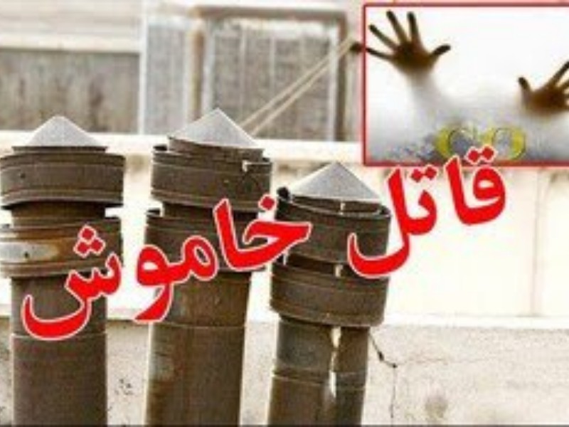 ۷۳ درصد حوادث گاز در ایلام مربوط به دودکش‌ها است