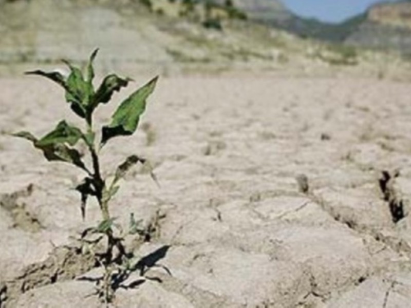 کاهش 50 درصدی بارندگی در ایلام/ فرونشست زمین درپی خشکسالی و برداشت بی‌رویه آب