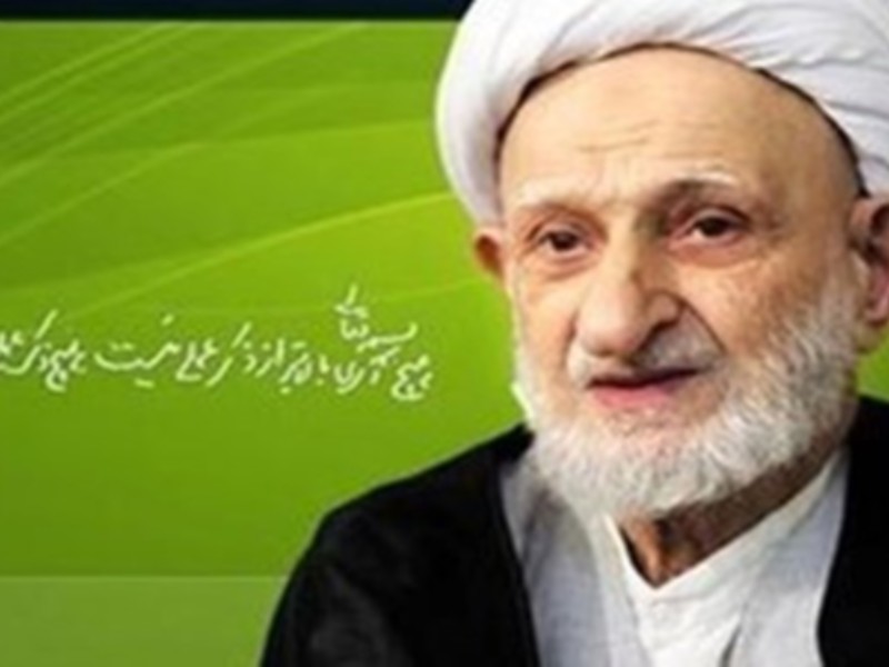 خاطره خواندنی آیت الله بهجت (ره) از پیاده روی اربعین