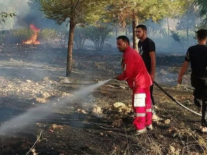 آتش سوزی در نهالستان منابع طبیعی شهرستان سیروان