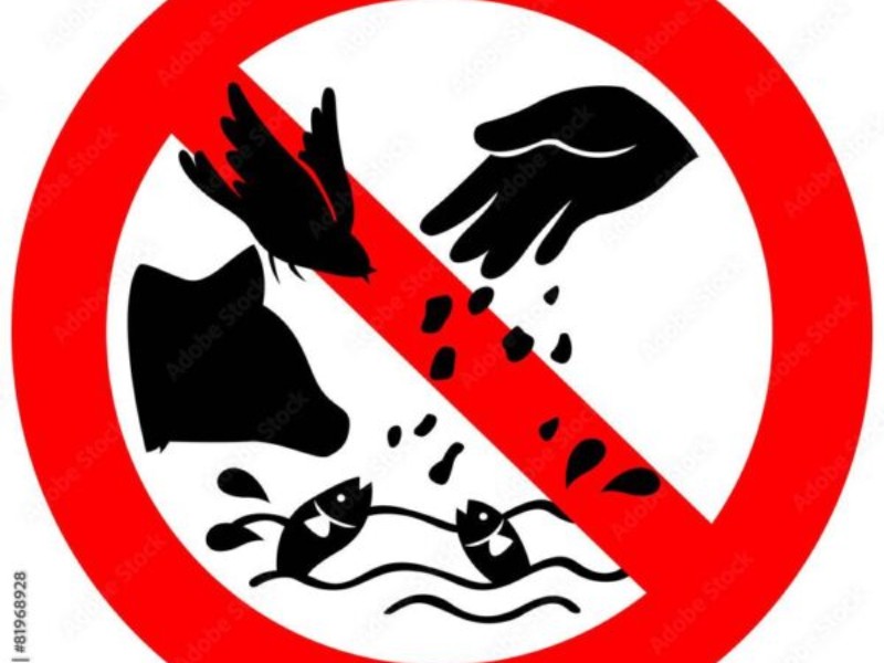 به حیوانات غذا ندهید